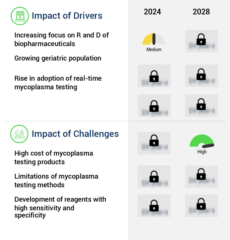 Mycoplasma Testing Market Size
