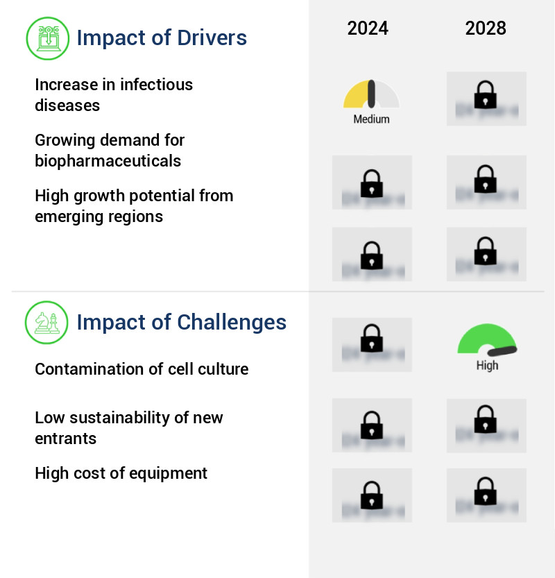 Cell Culture Market Size
