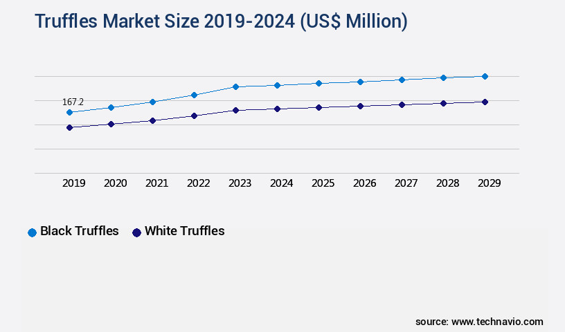 Truffles Market Size