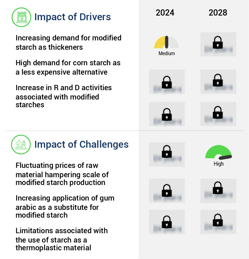 Modified Starch Market Size