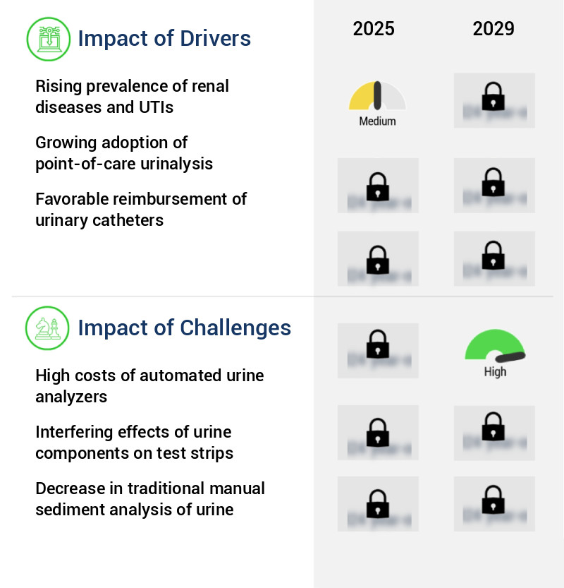 Urinalysis Market Size