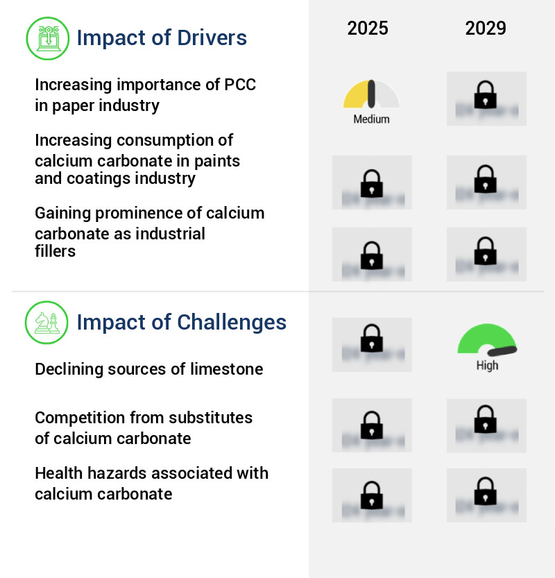 Calcium Carbonate (CaCO3) Market Size