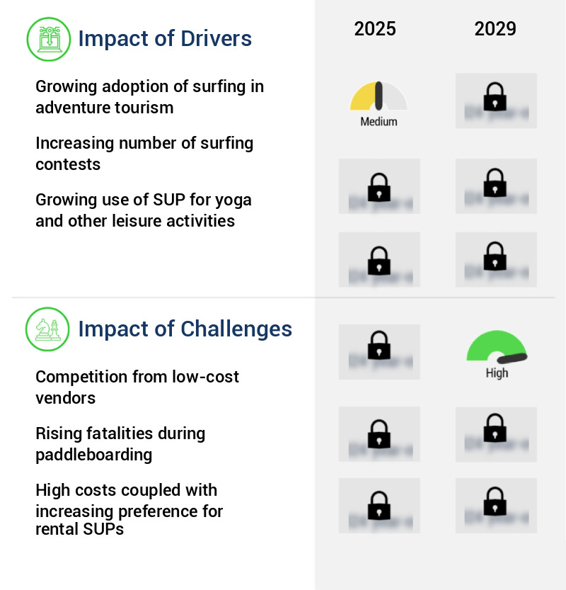 Stand-Up Paddleboard Market Size