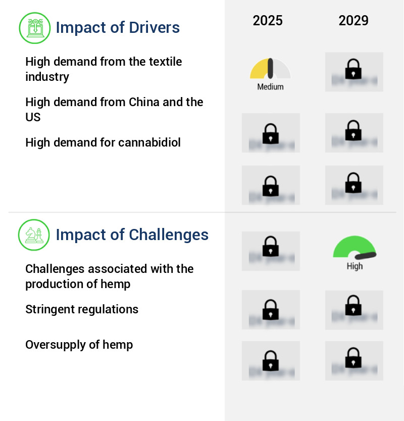 Industrial Hemp Market Size