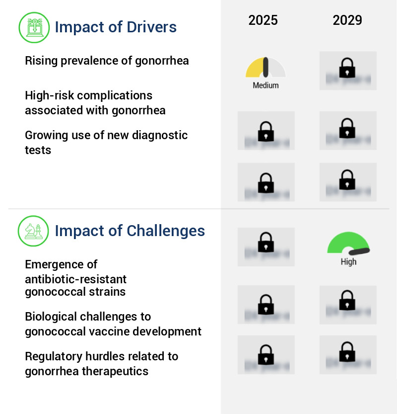Gonorrhea Therapeutics Market Size