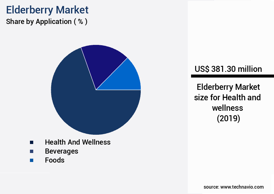Elderberry Market Size