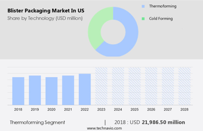 Blister Packaging Market in US Size