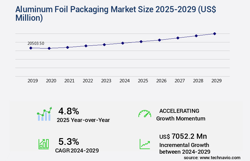 Aluminum Foil Packaging Market Size