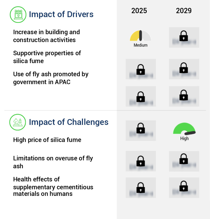 Supplementary Cementitious Materials Market Size