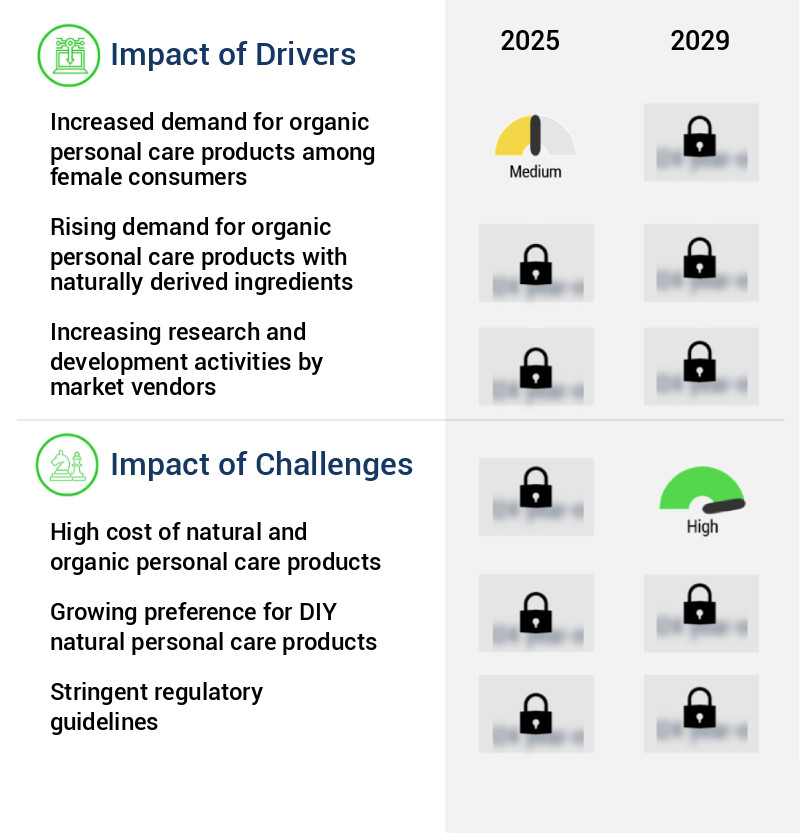 Natural And Organic Personal Care Product Market Size