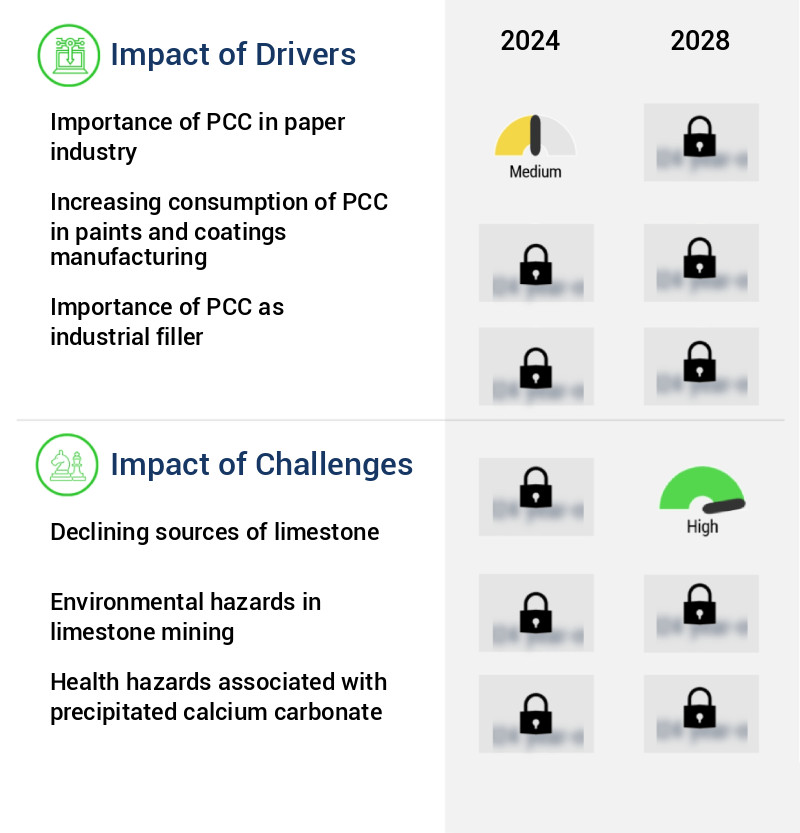 Precipitated Calcium Carbonate Market Size