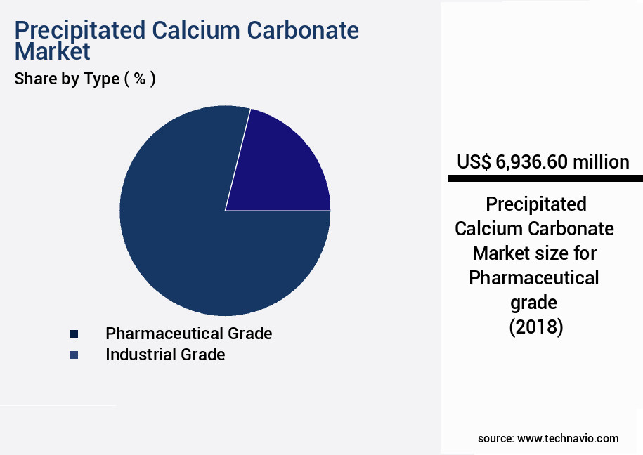 Precipitated Calcium Carbonate Market Size