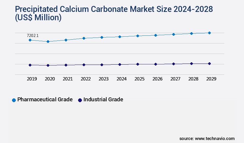 Precipitated Calcium Carbonate Market Size