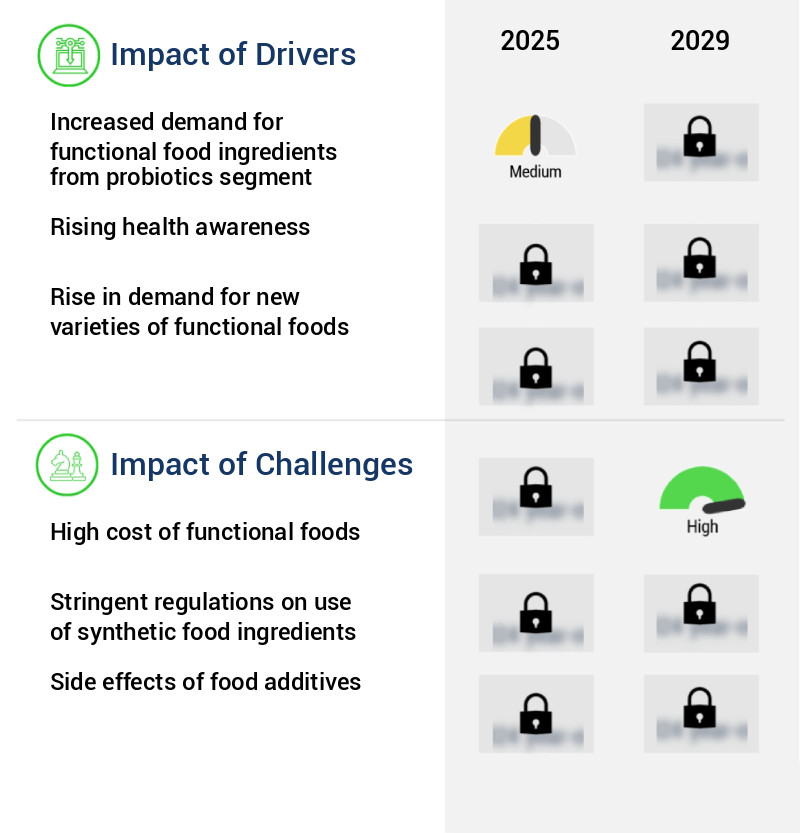 Functional Food Ingredients Market Size