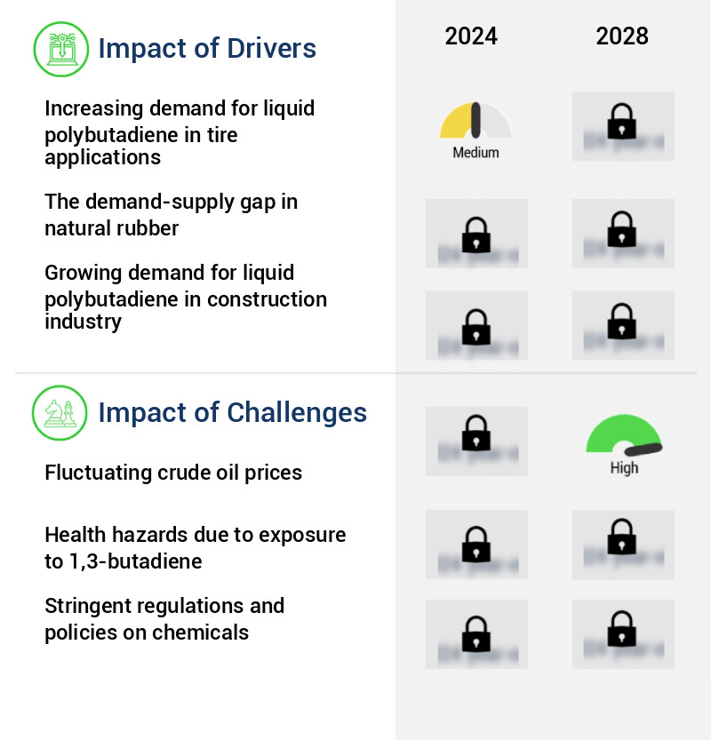 Liquid Polybutadiene Market Size