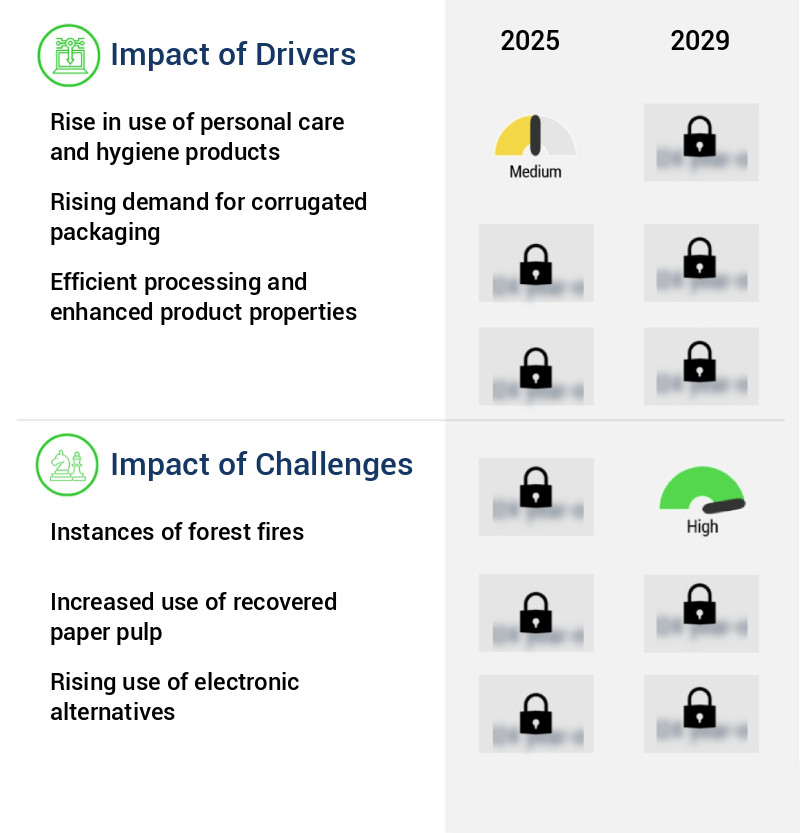 Bleached Eucalyptus Kraft Pulp Market Size