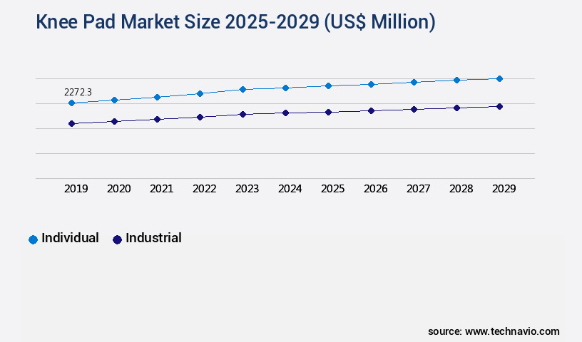 Knee Pad Market Size