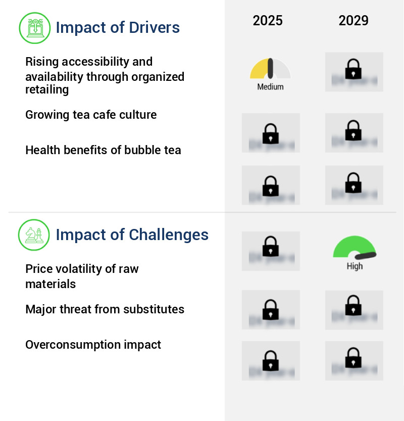 Bubble Tea Market Size