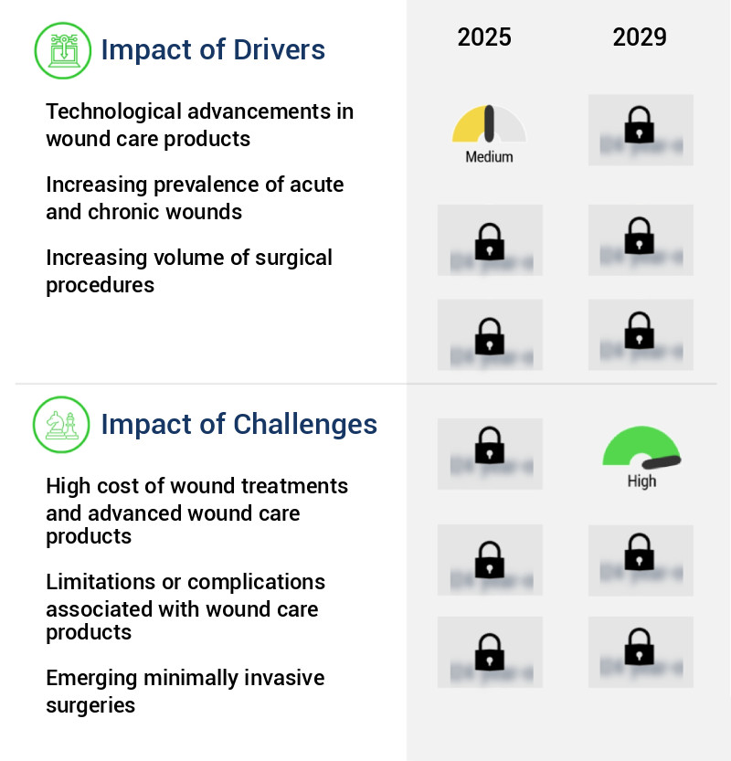 Advanced Wound Care Market Size