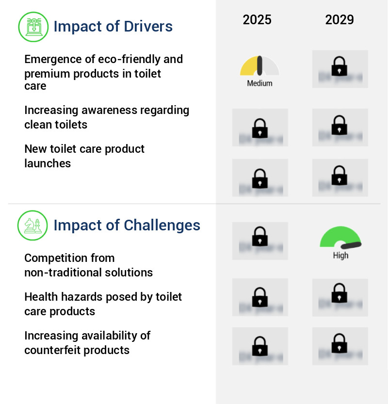 Toilet Care Market Size