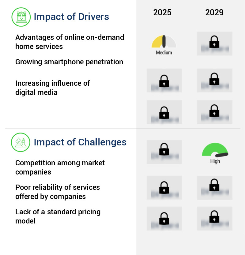 Online On-Demand Home Services Market in Malaysia Size