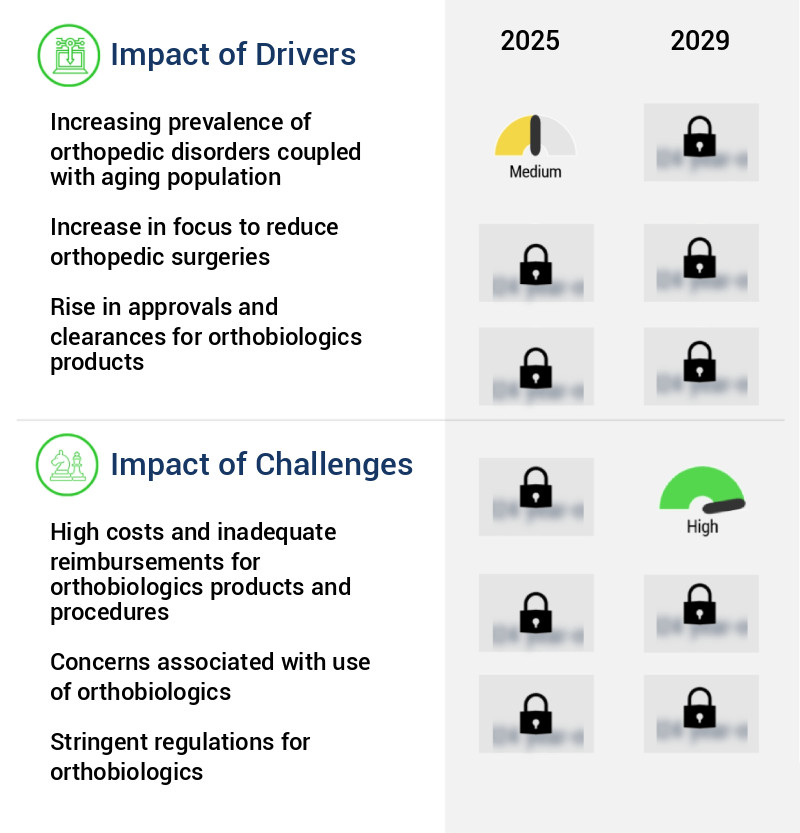 Orthobiologics Market Size