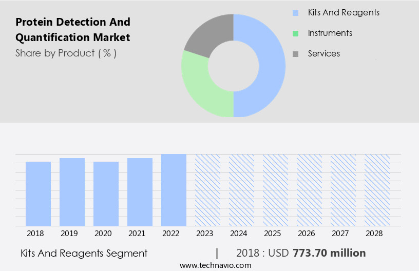 Protein Detection And Quantification Market Size