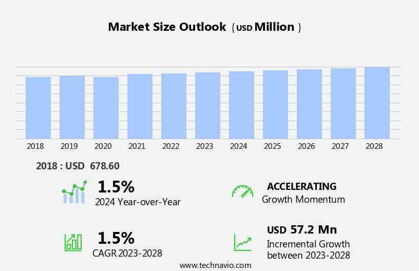 Paper Pallet Market Size