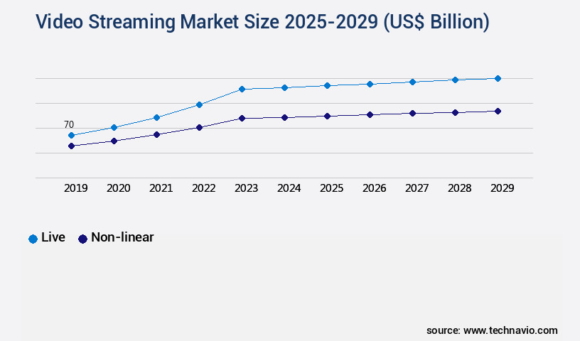 Video Streaming Market Size