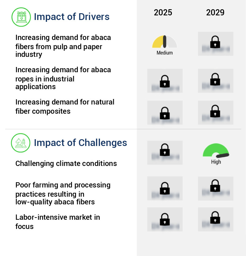 Abaca Fiber Market Size