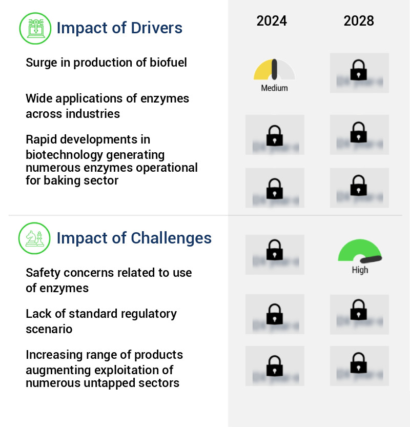 Enzymes Market Size