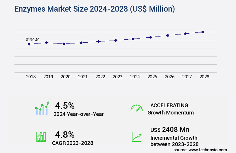 Enzymes Market Size
