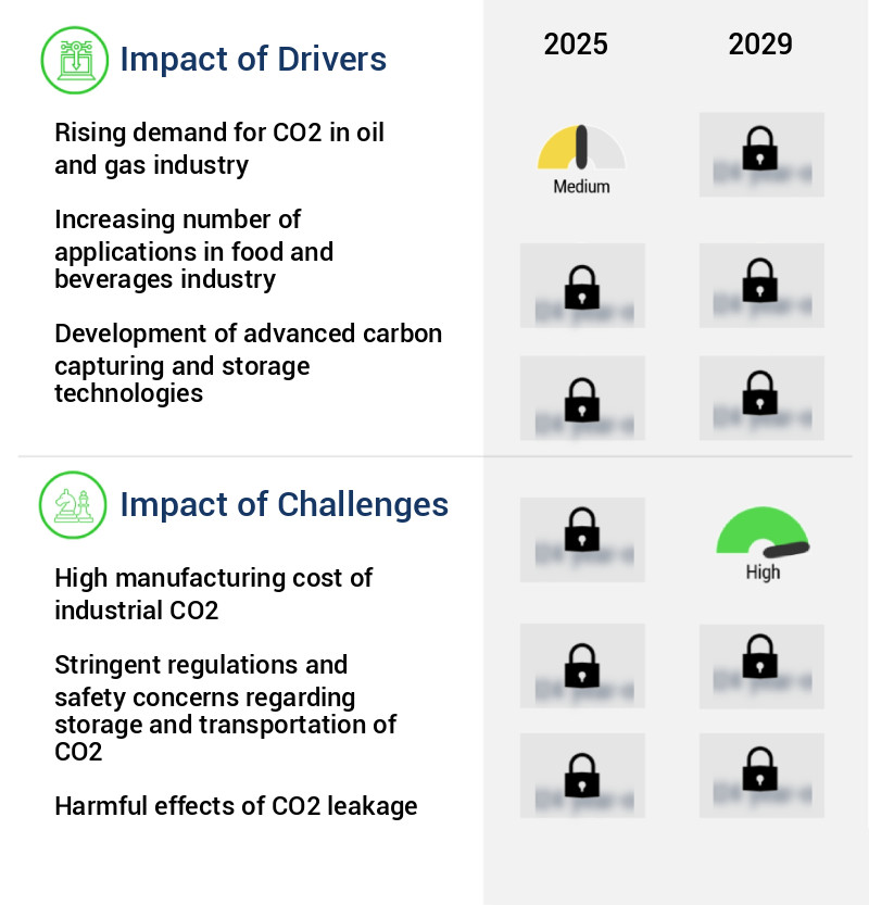 Carbon Dioxide Market Size