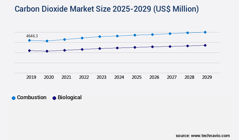 Carbon Dioxide Market Size