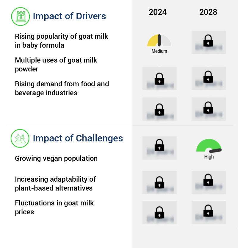 Goat Milk Powder Market Size
