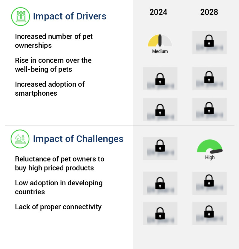 Pet Monitoring Camera Market Size