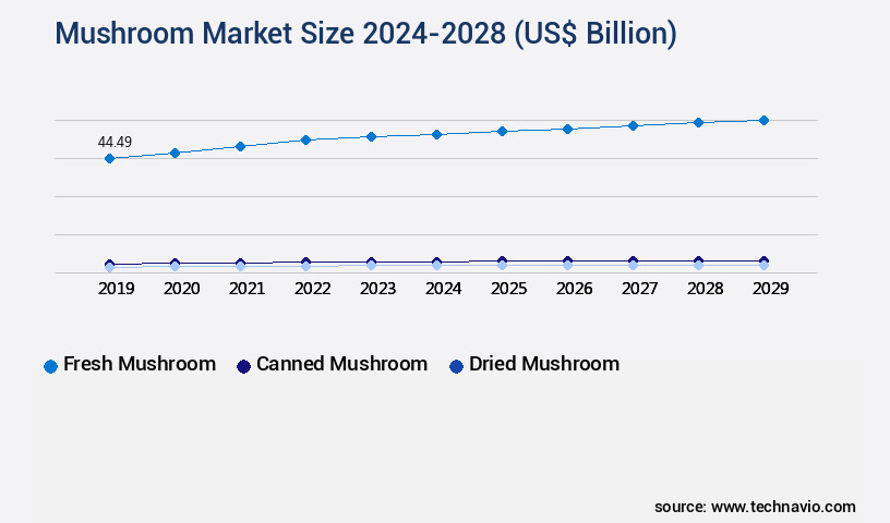 Mushroom Market Size