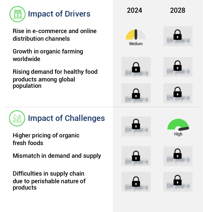 Organic Fresh Food Market Size