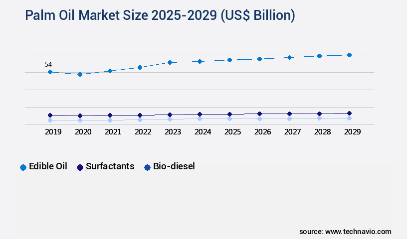 Palm Oil Market Size