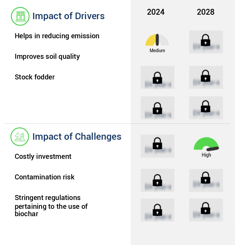 Biochar Market Size