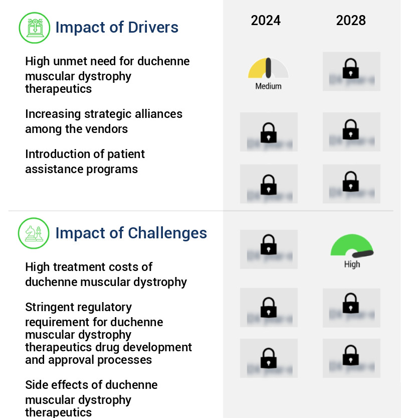 Duchenne Muscular Dystrophy (DMD) Therapeutics Market Size