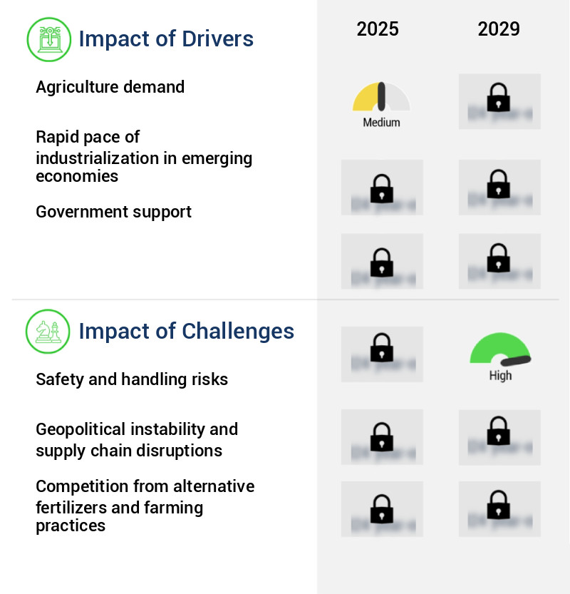 Ammonia (NH3) Market Size