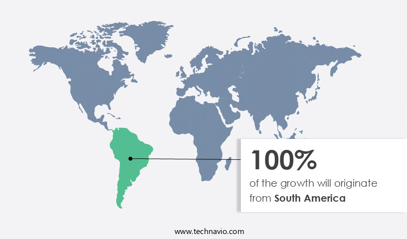 Sports Nutrition Market in South America Share by Geography