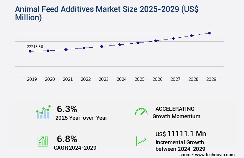 Animal Feed Additives Market Size