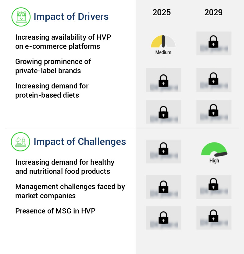 Hydrolyzed Vegetable Protein Market Size