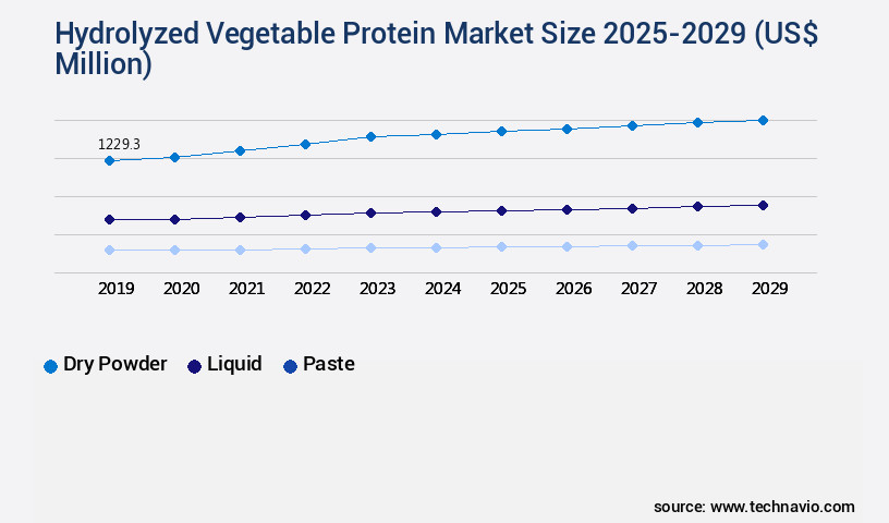 Hydrolyzed Vegetable Protein Market Size