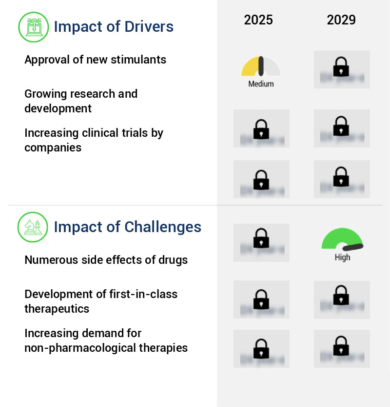Central Nervous System (CNS) Stimulant Drugs Market Size