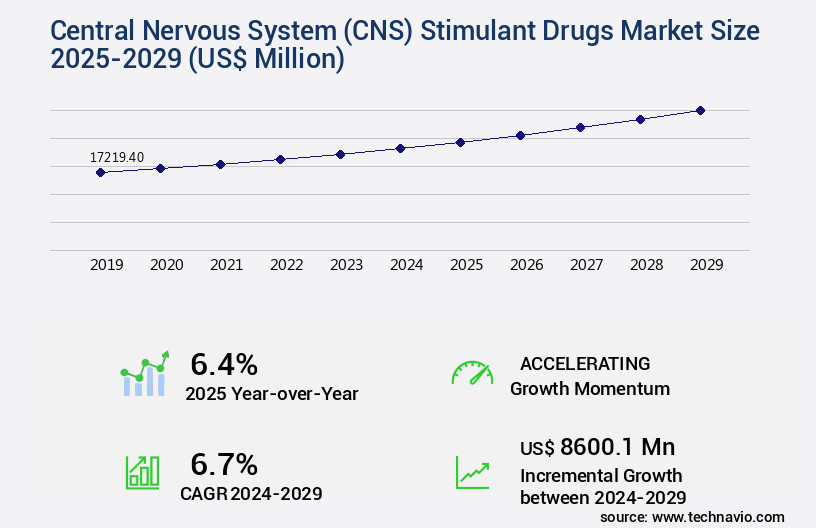 Central Nervous System (CNS) Stimulant Drugs Market Size