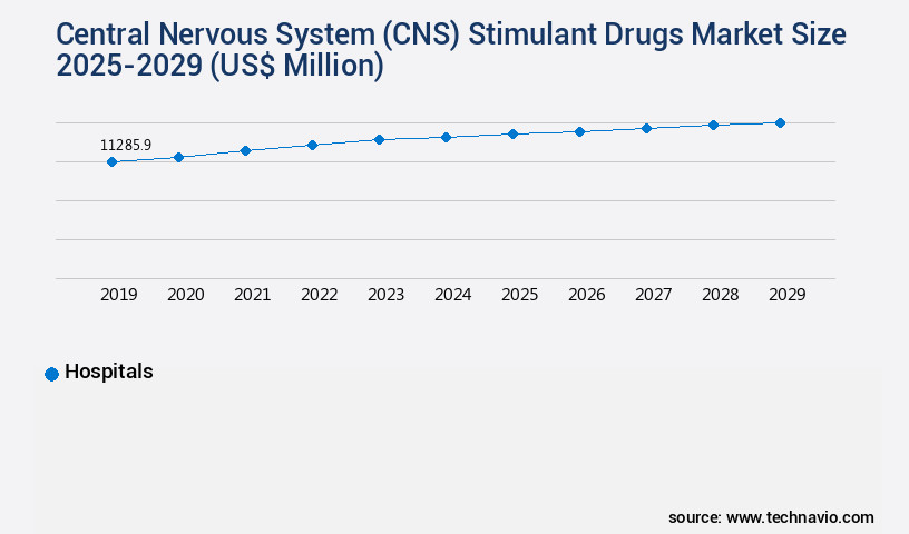 Central Nervous System (CNS) Stimulant Drugs Market Size