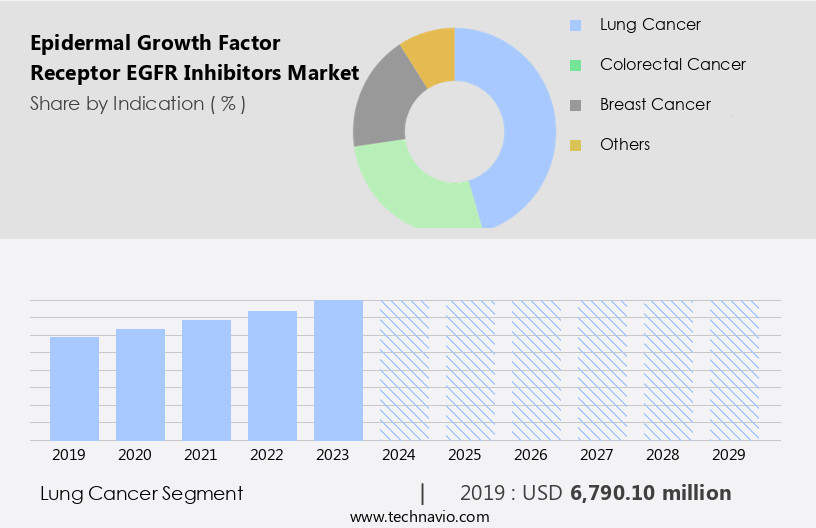 Epidermal Growth Factor Receptor (EGFR) Inhibitors Market Size